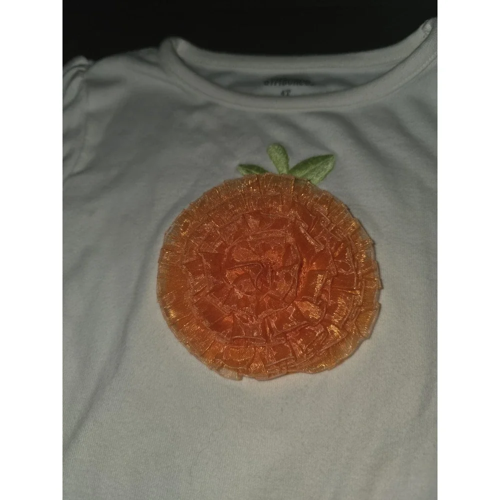 Gymboree fall autumn Halloween pumpkin top and leggings size 4t